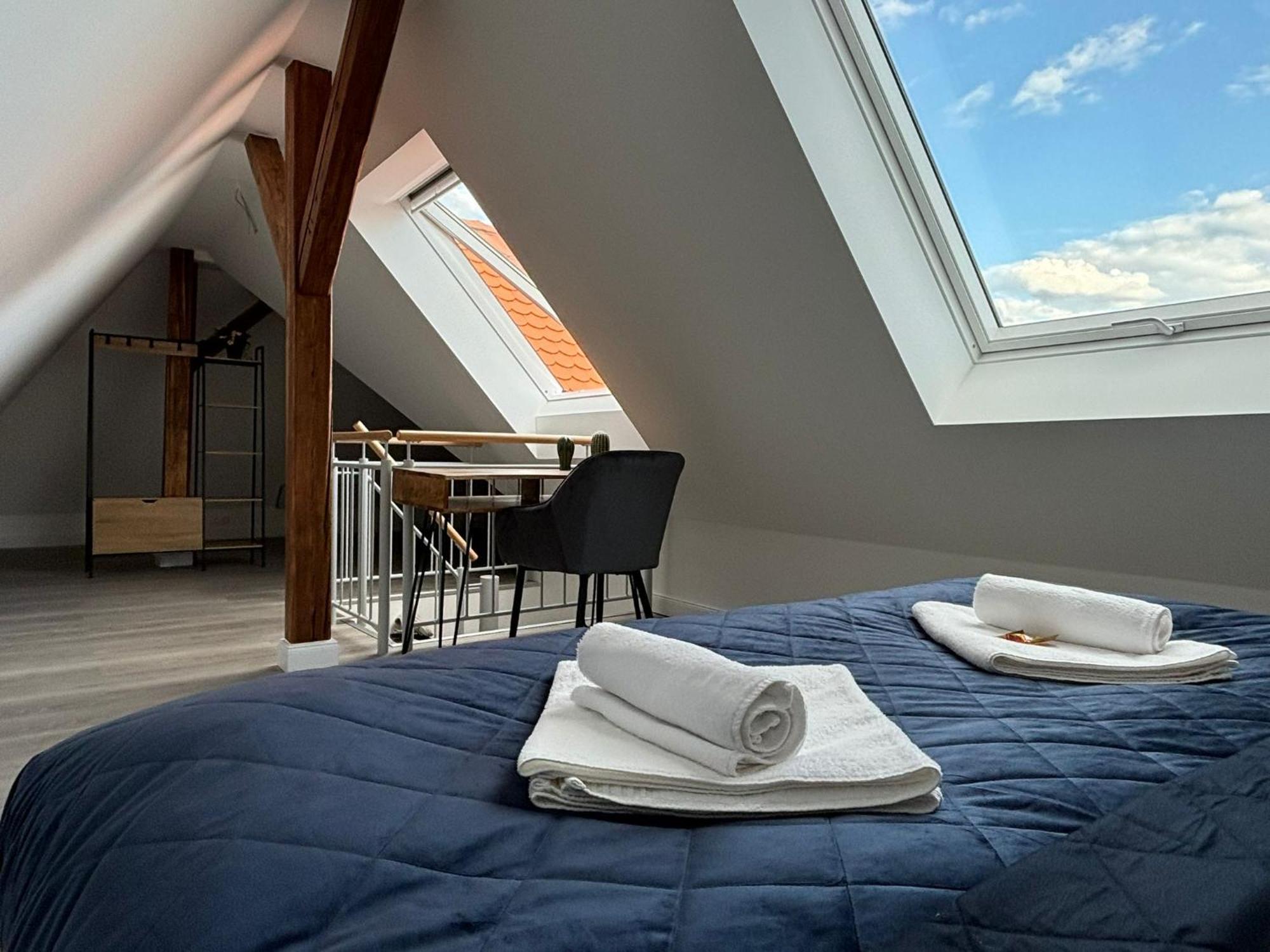 Schlossberg Residences - Xxl-design-apartment Mit Schlossblick Fuer Bis Zu 12 Personen * Schwetzingen